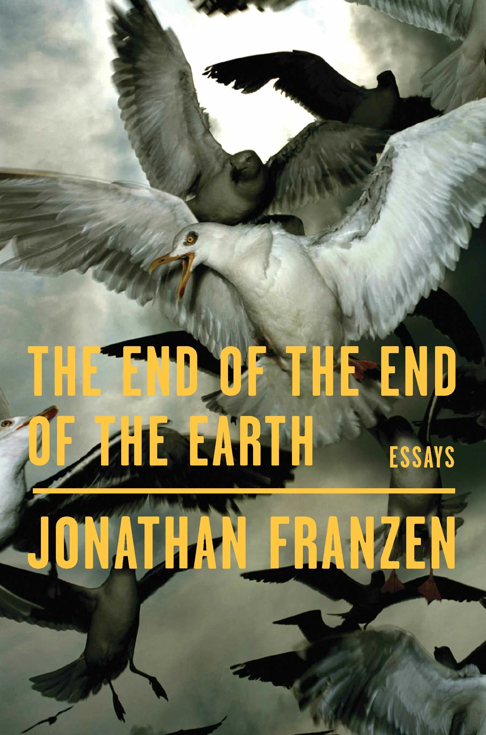 end of the end.jpg