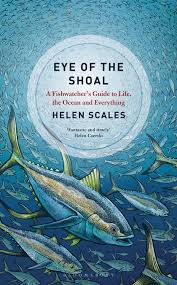 eye of the shoal.jpg