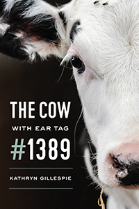 cow with ear tag.jpg