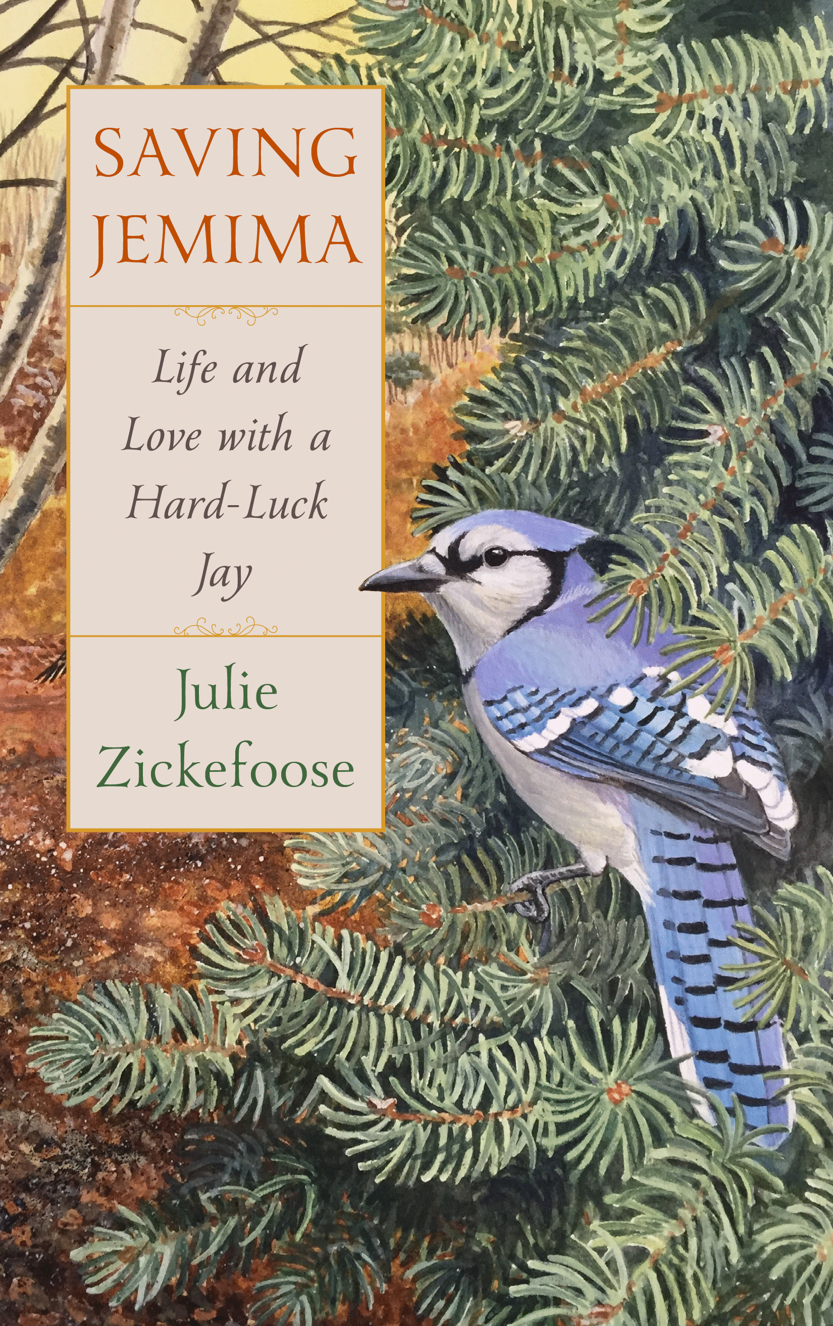 Saving Jemima: Life and Love with a Hard-Luck Jay By Julie Zickefoose Houghton Mifflin Harcourt, 2019