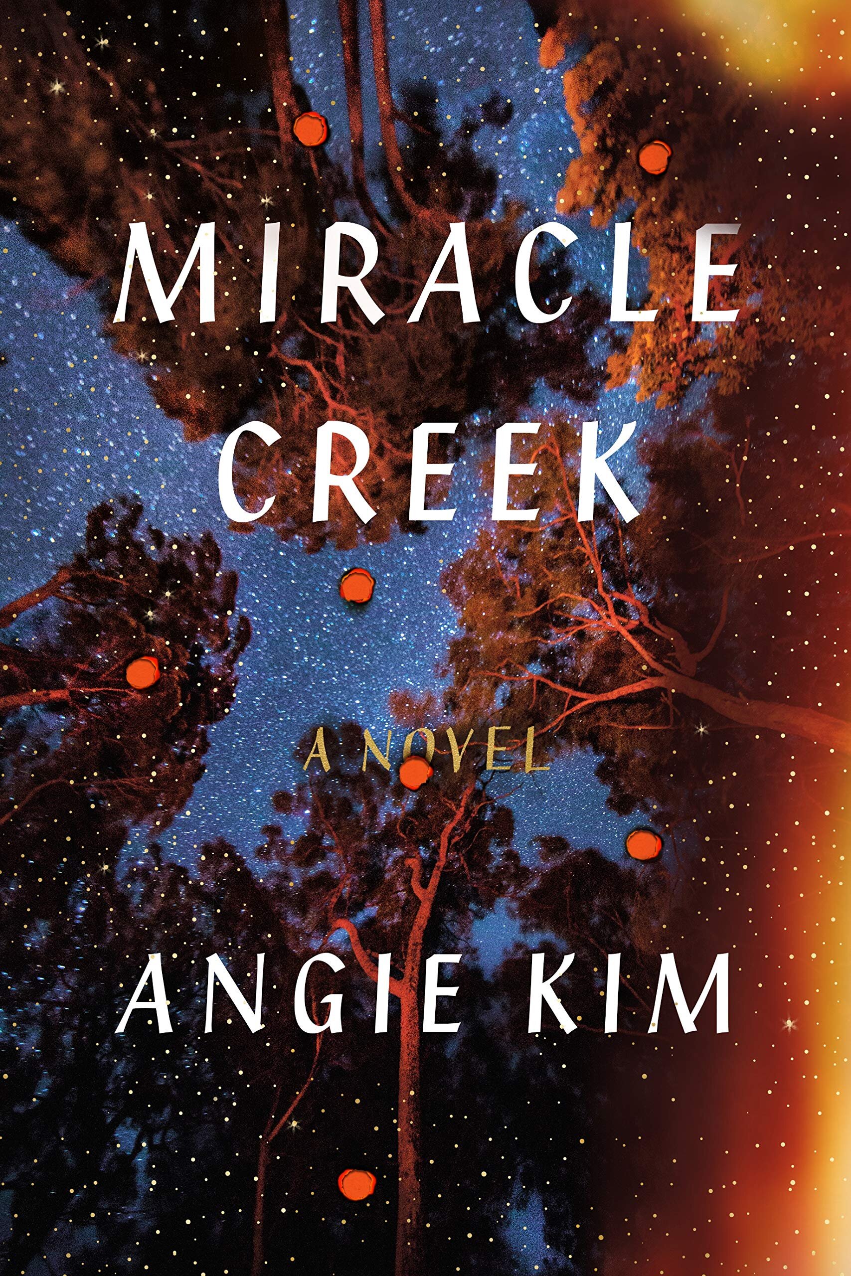 Debut Fiction Miracle Creek by Angie Kim.jpg