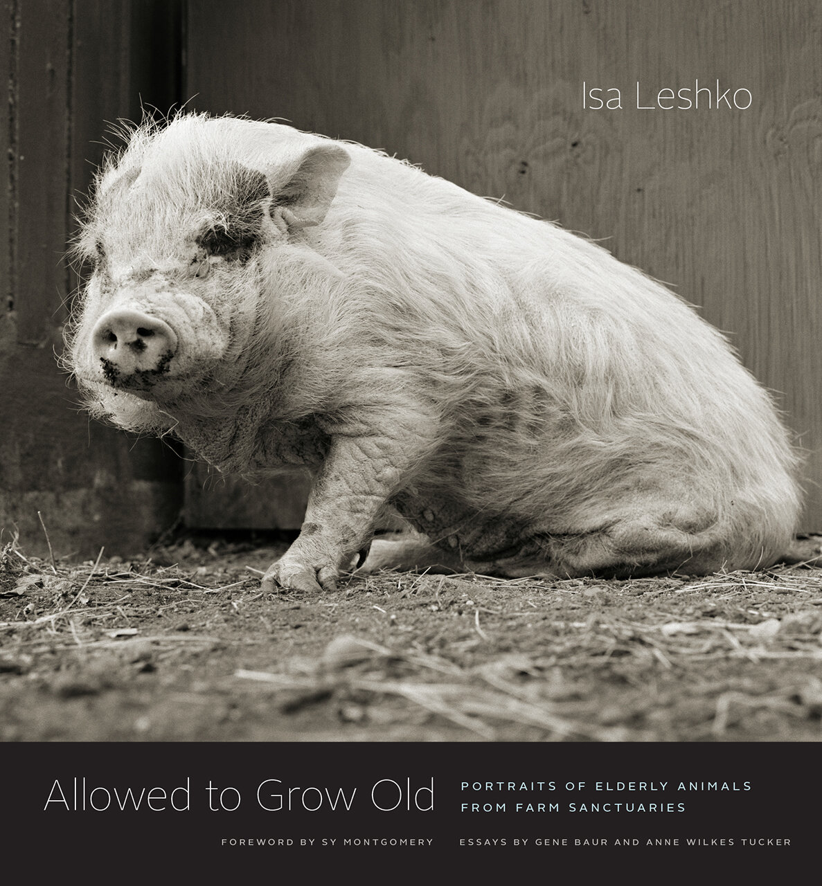 Nature Allowed to Grow Old Portraits of Elderly Animals from Farm Sanctuaries by Isa Leshko.jpg