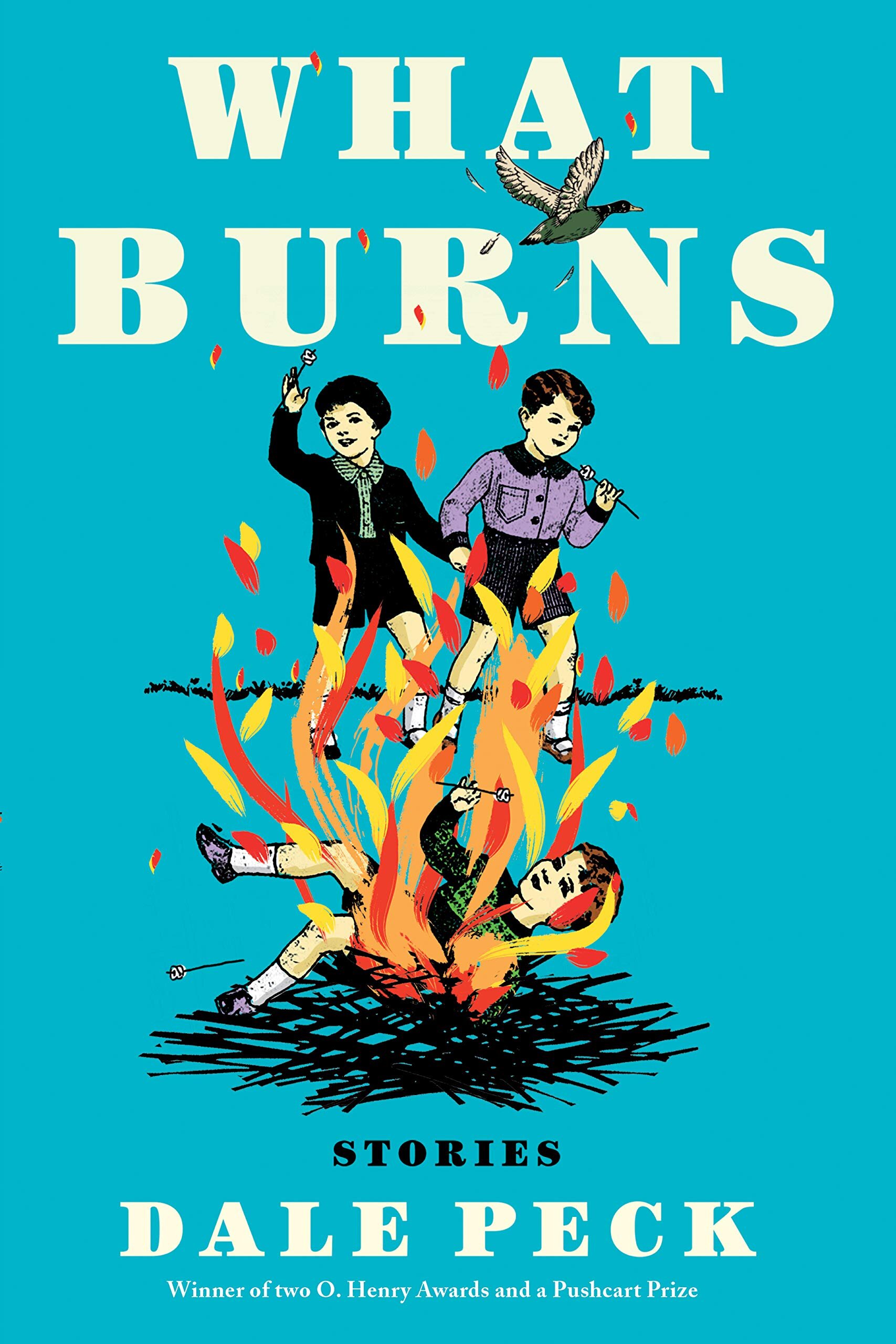 Worst Fiction What Burns by Dale Peck.jpg