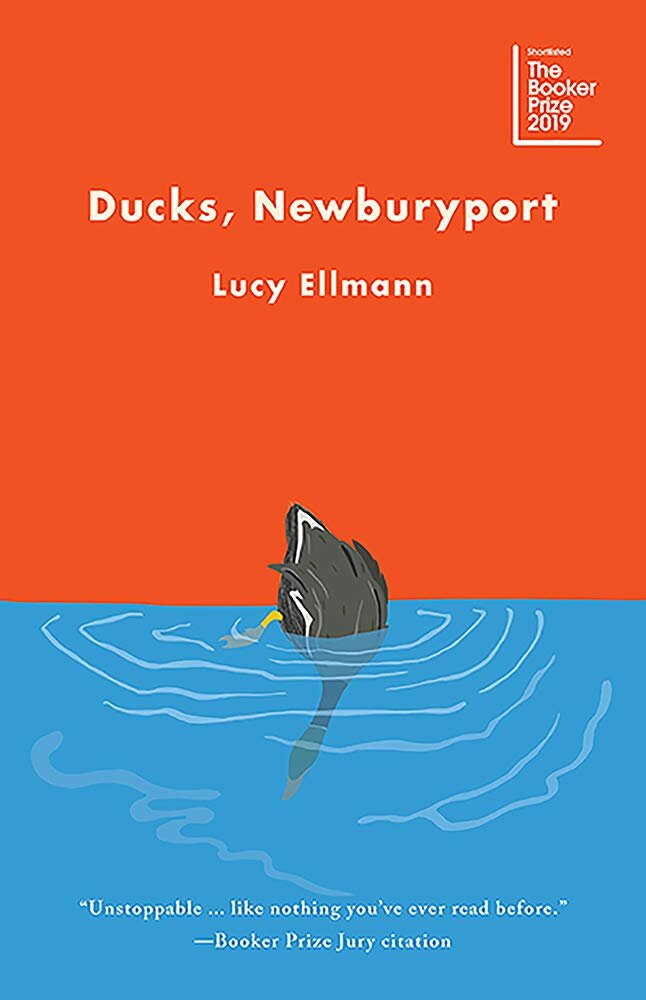 Best Fiction Ducks Newburyport by Lucy Ellmann.jpg