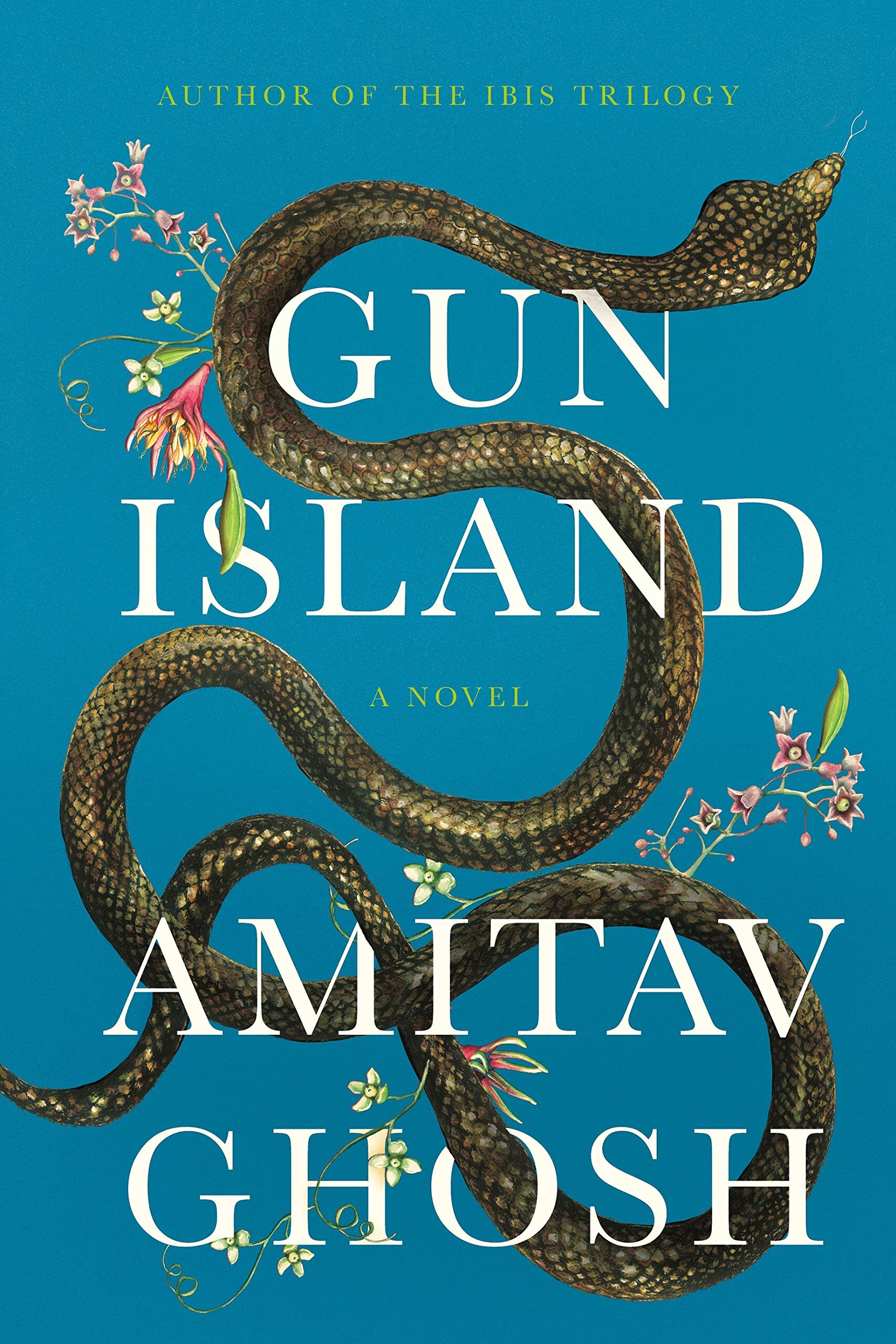 Best Fiction Gun Island by Amitav Ghosh.jpg