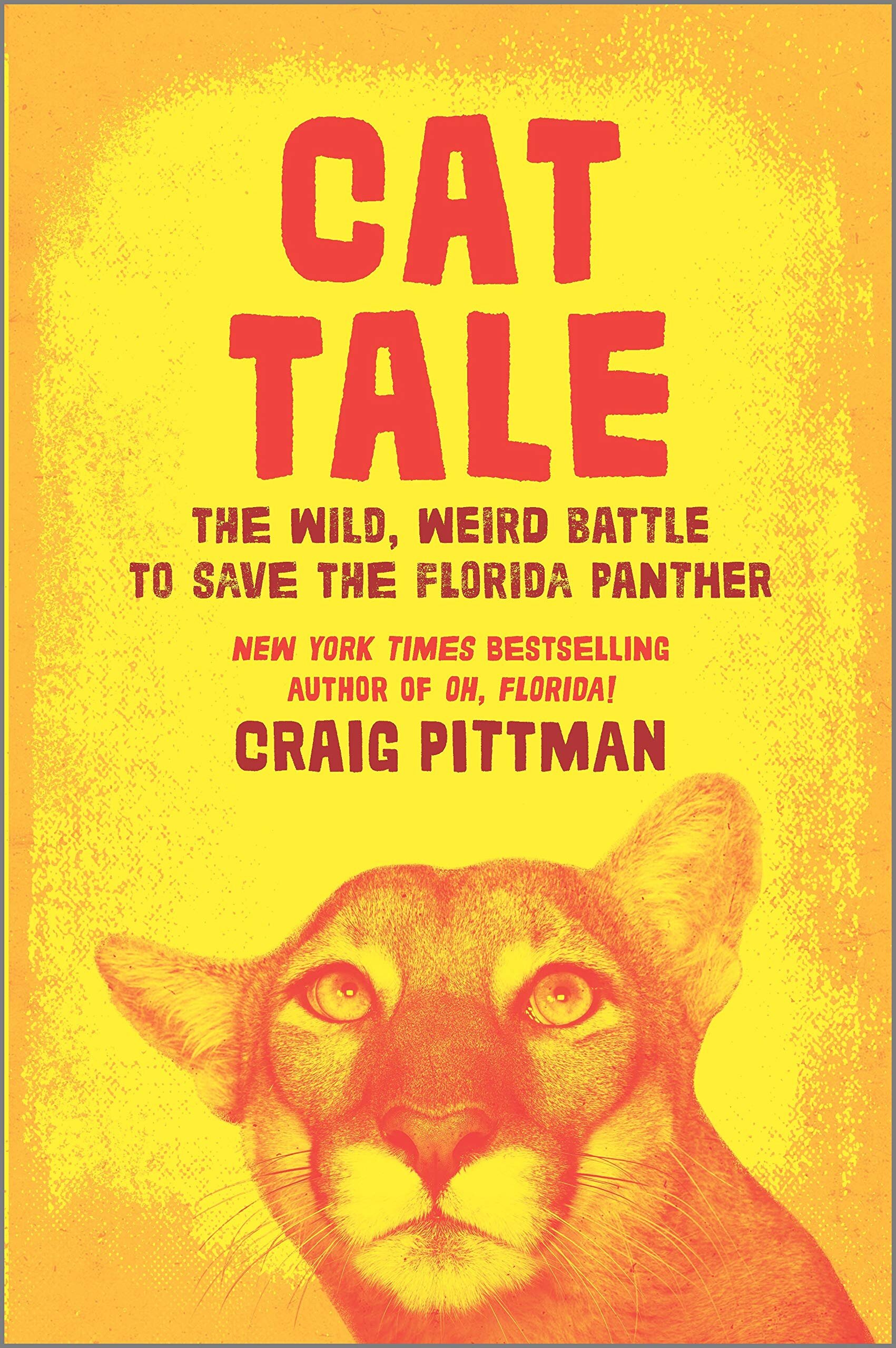 Cat Tale By Craig Pittman Open Letters Review