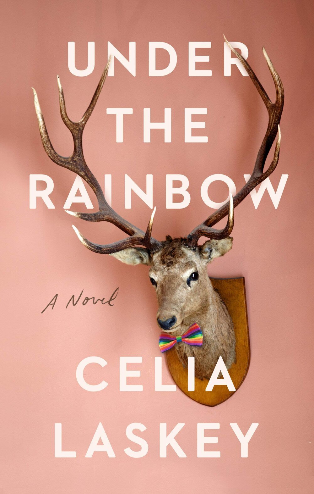 Best of Debut Under the Rainbow by Celia Laskey.jpg