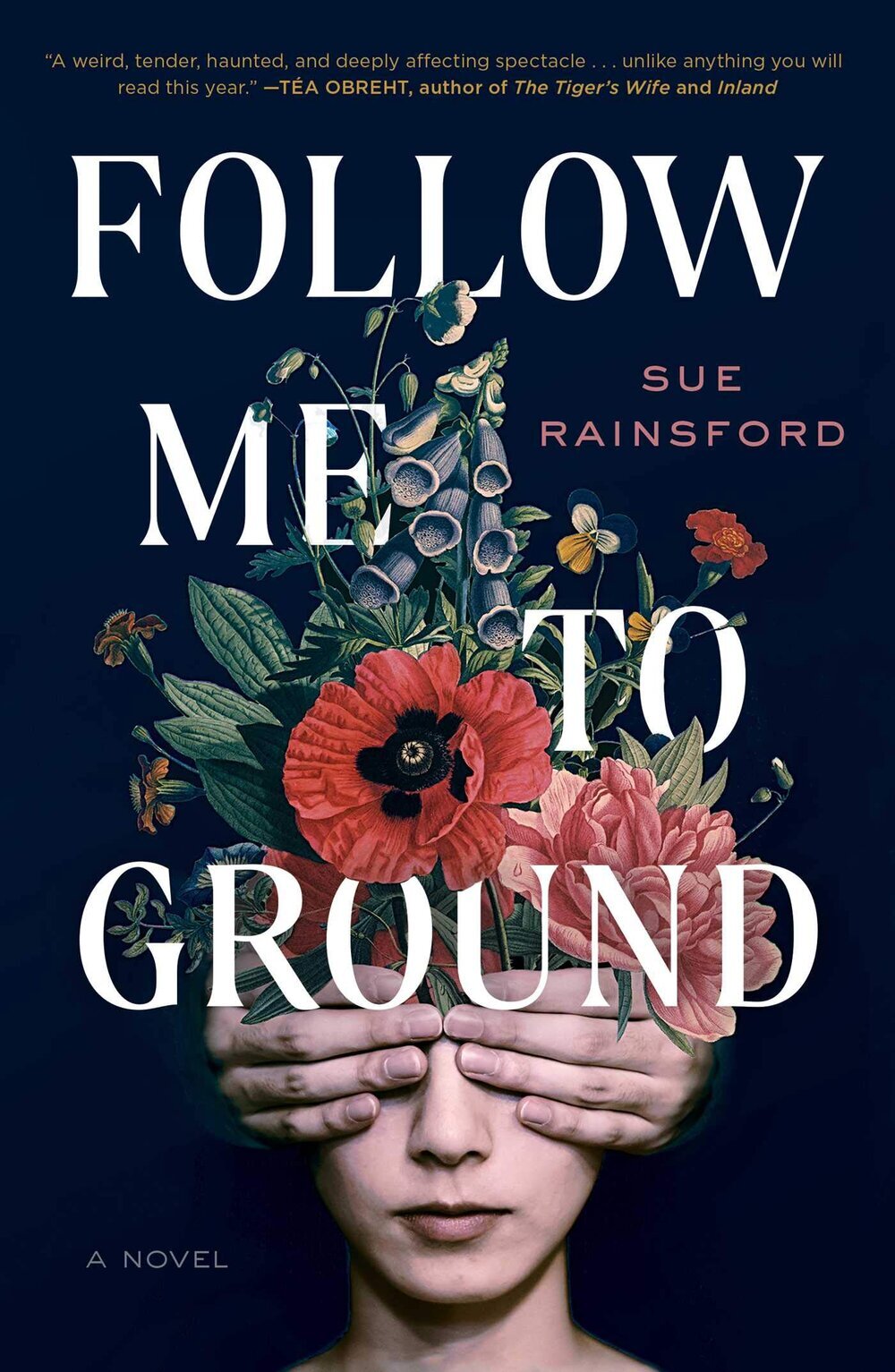 Best of Debut Follow Me to Ground by Sue Rainsford.jpg