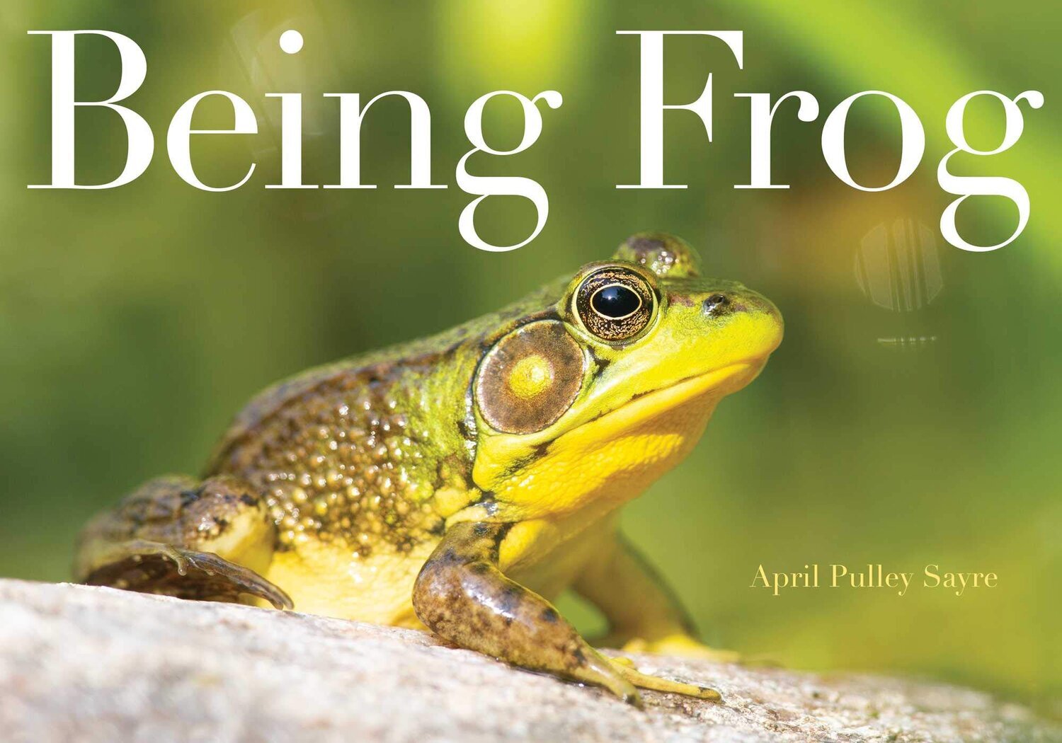 Best of Nature Being Frog by April Pulley Sayre.jpg