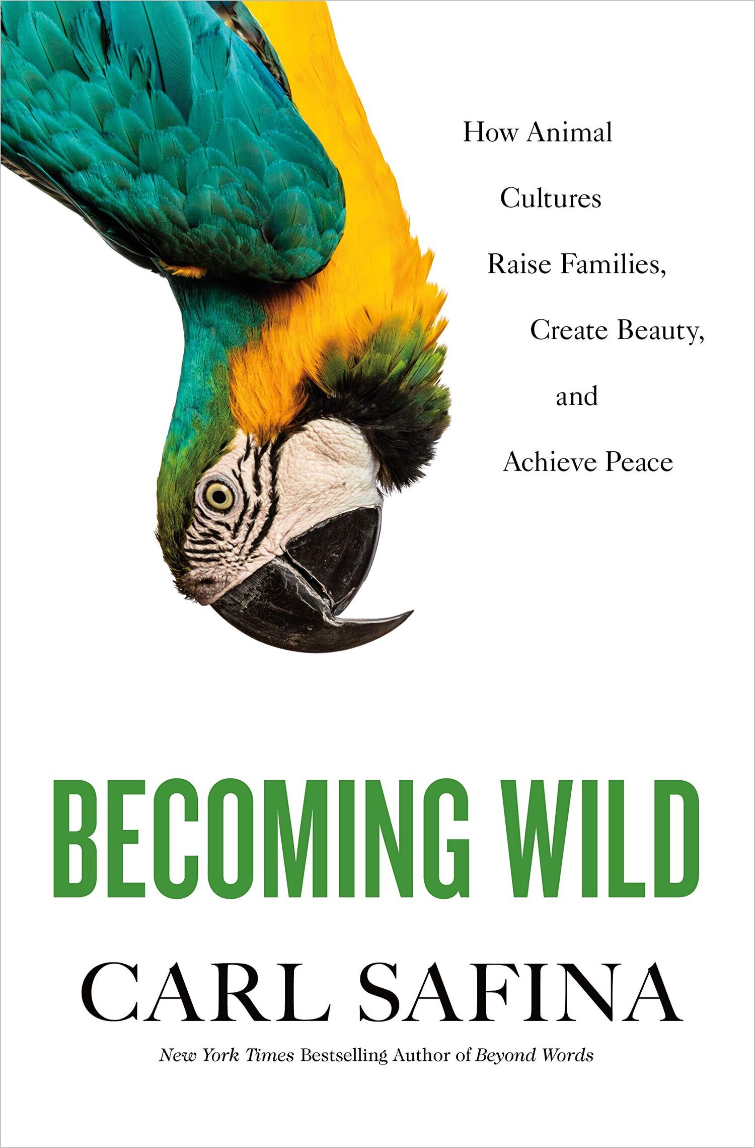 Best of Nature Becoming Wild How Animal Cultures Raise Families, Create Beauty, and Achieve Peace by Carl Safina.jpg