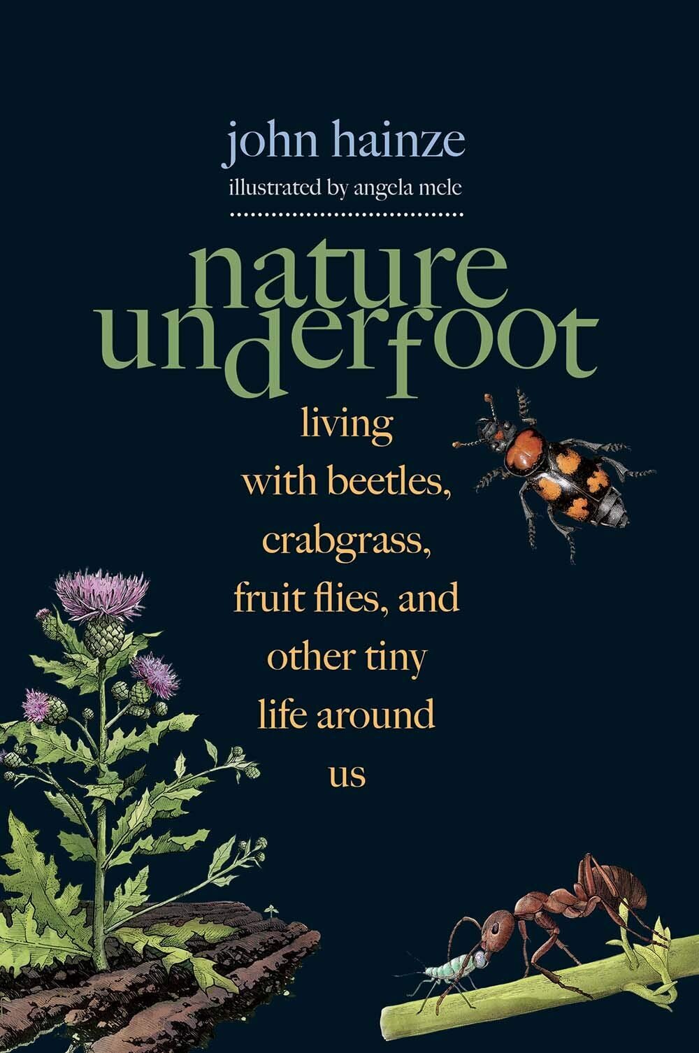 Best of Nature Nature Underfoot Living with Beetles, Crabgrass, Fruit Flies, and Other Tiny Life Around Us by John Hainze Illustrated by Angela Mele.jpg
