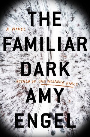 Best of Thrillers The Familiar Dark by Amy Engel.jpg