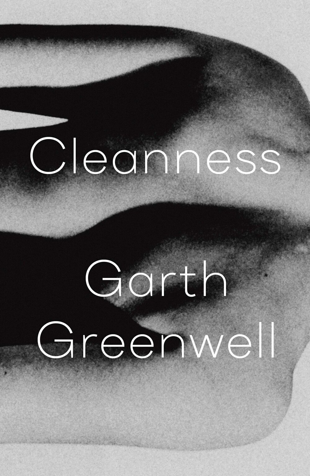 Worst Fiction 2020 Cleanness by Garth Greenwell.jpg