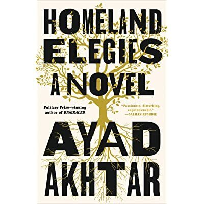 Worst Fiction 2020 Homeland Elegies by Ayad Akhtar.jpg