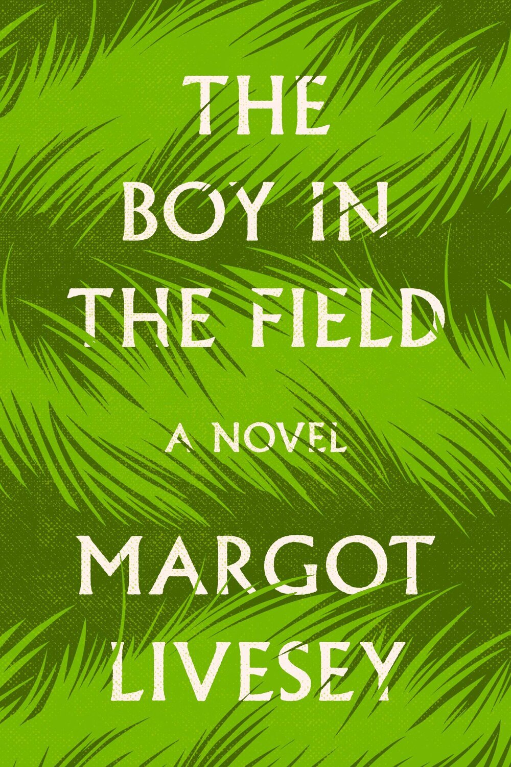 Best of Fiction 2020 The Boy in the Field by Margot Livesey.jpg