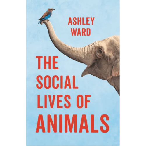 The Social Lives of Animals by Ashley Ward — Open Letters Review