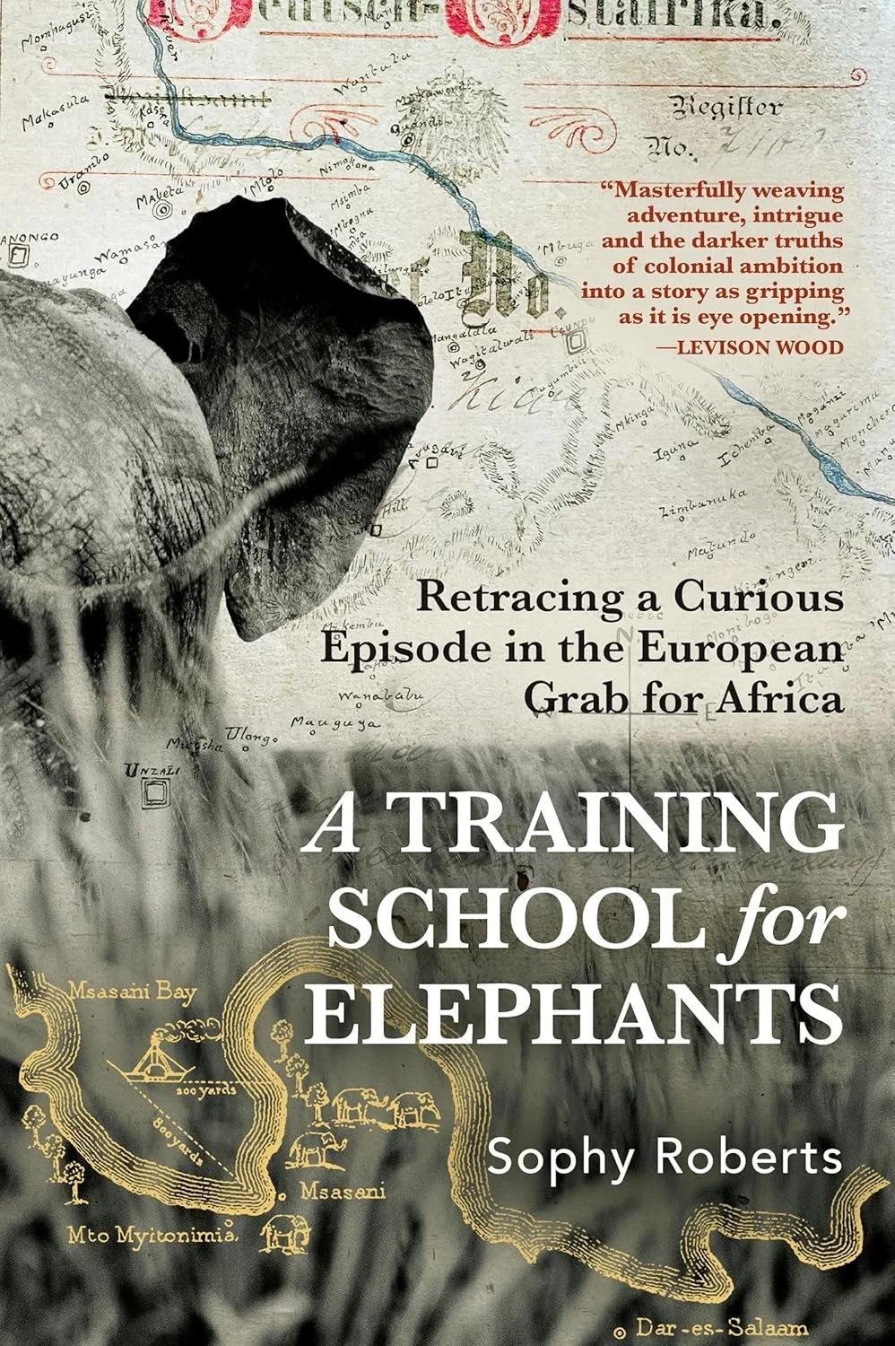 A Training School for Elephants by Sophy Roberts