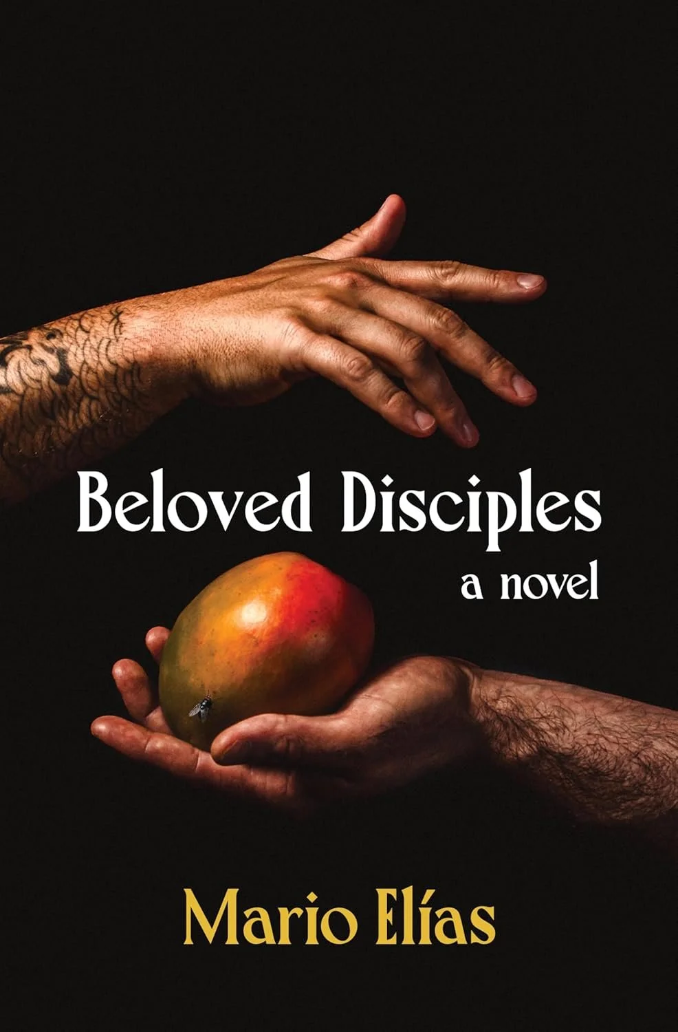 Beloved Disciples by Mario Elías 