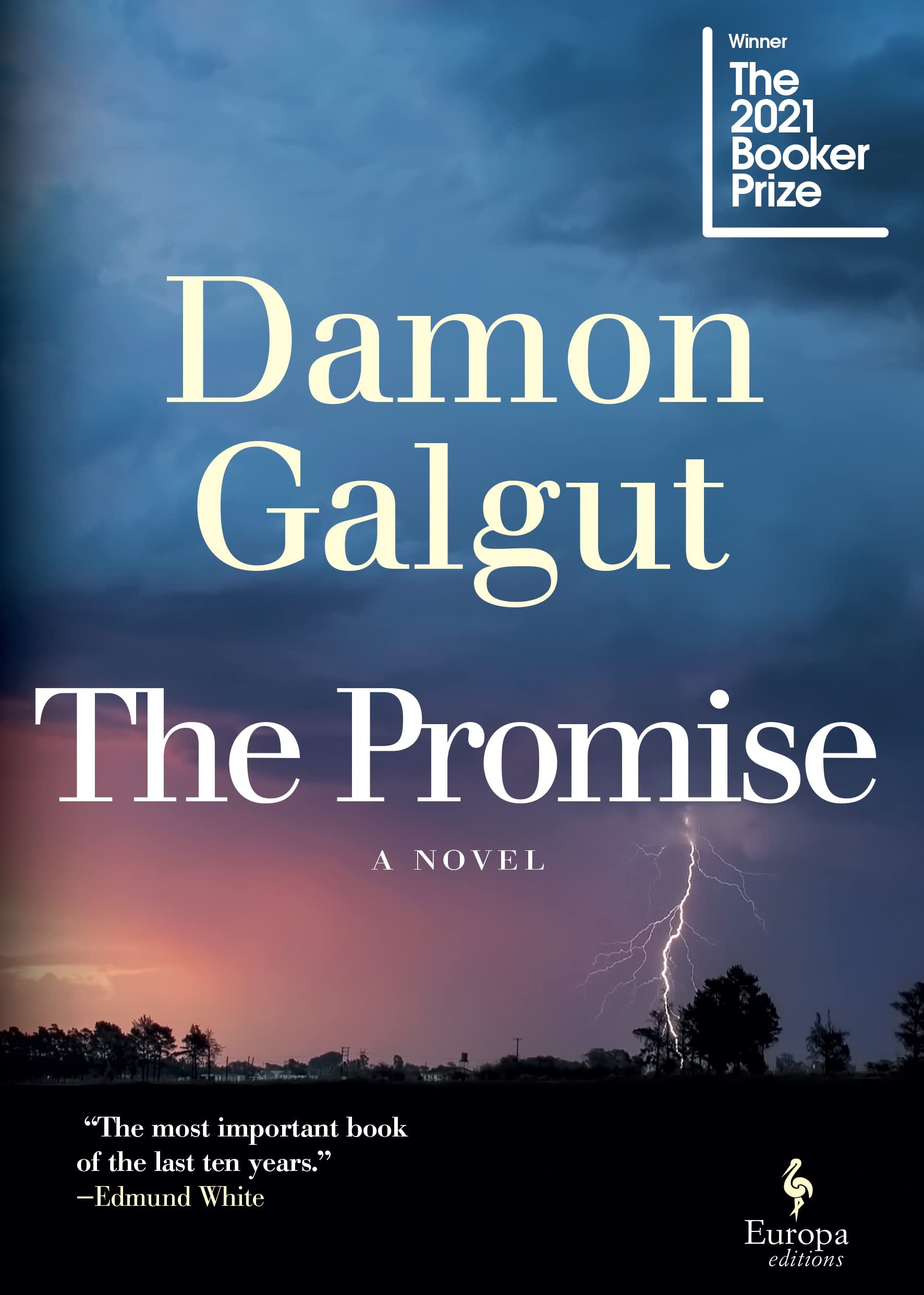 book review the promise galgut