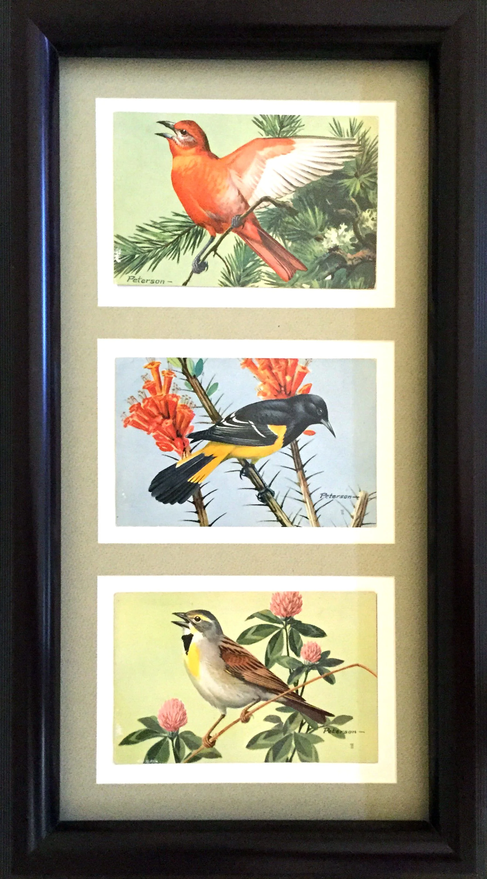 Postcard sets - colorful groups on display