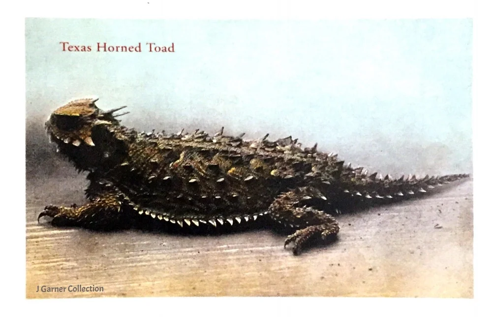 #23 Postcard Trivia 4.24.18