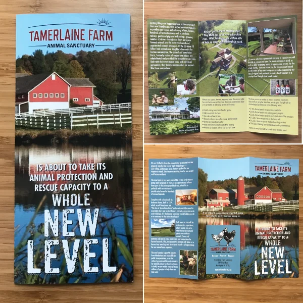 Tamerlaine tri-fold
