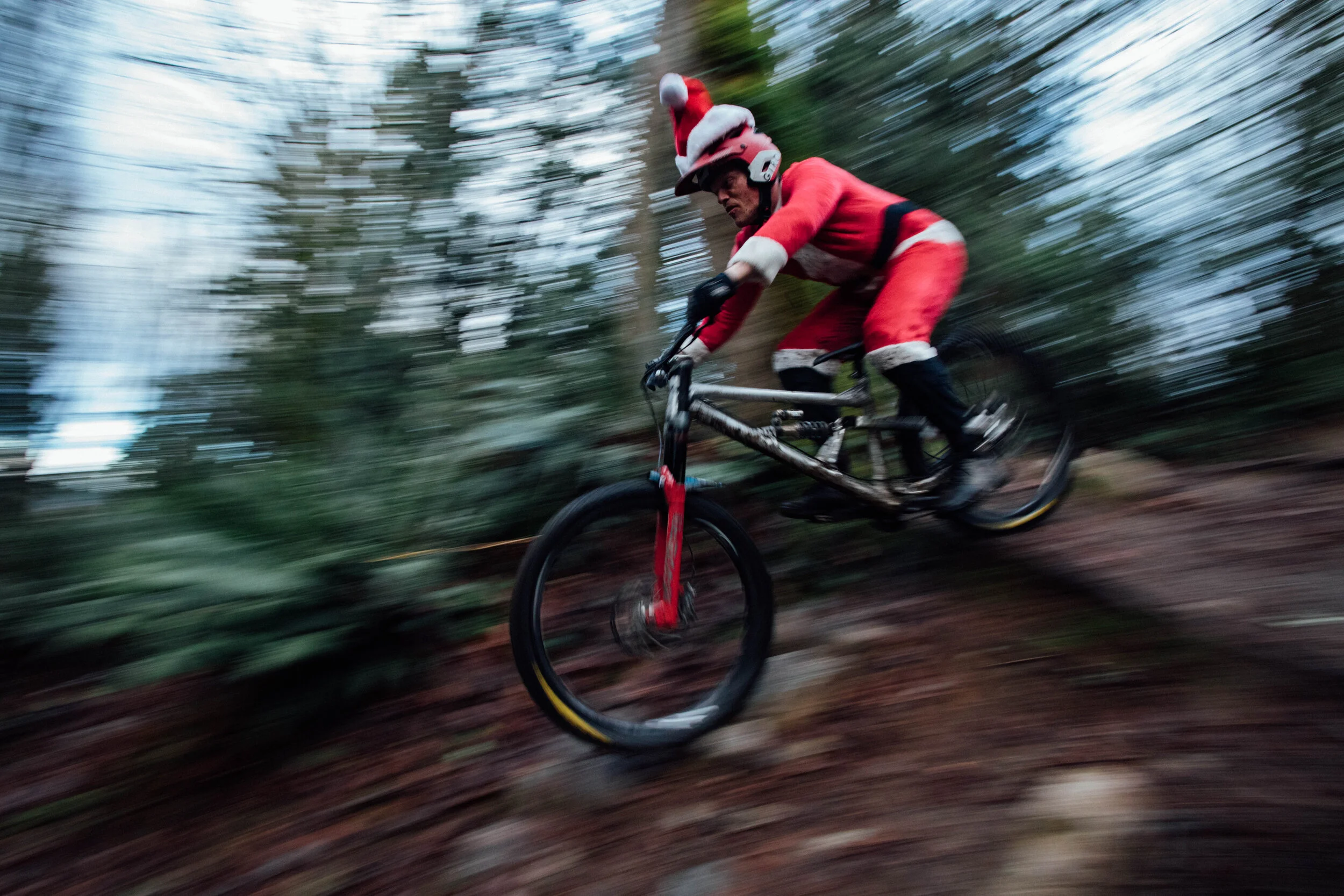 The Lost Co Winter Catalog