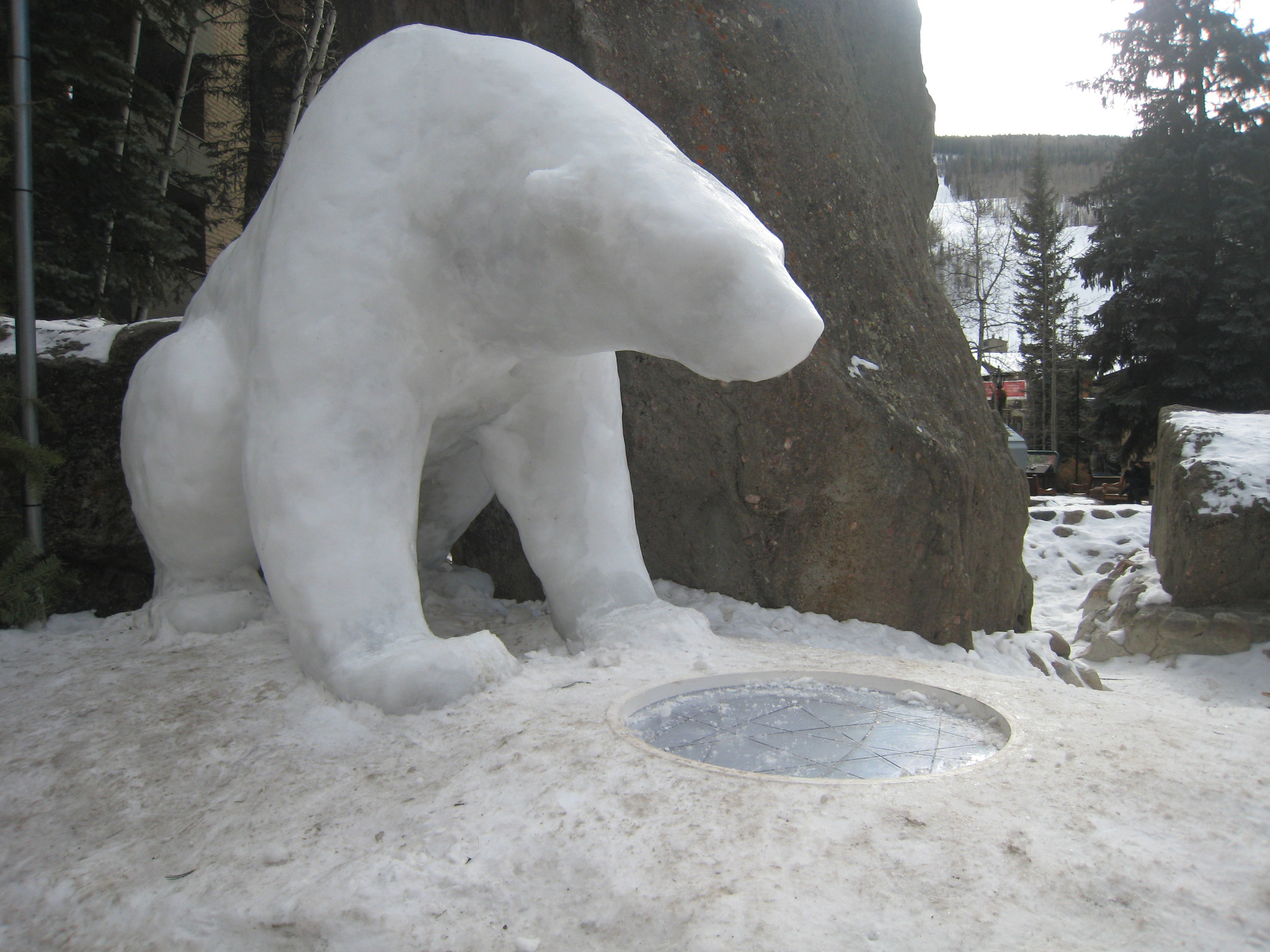 2012 sitting bear cropped.jpg