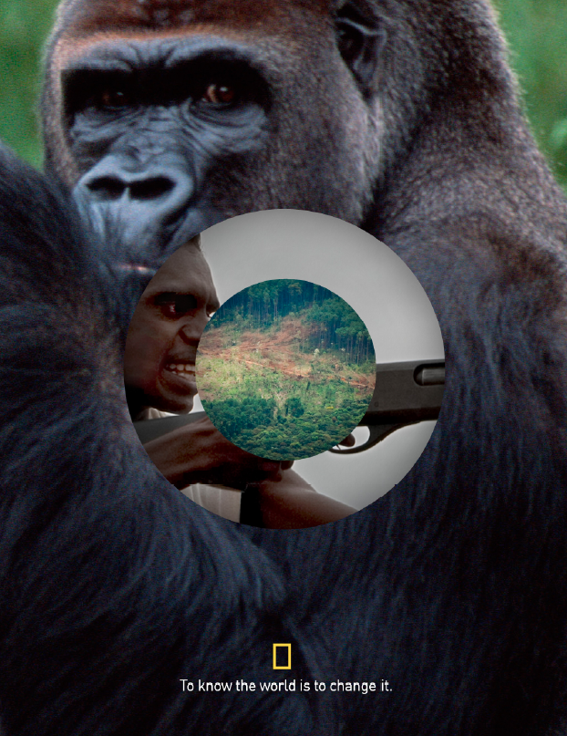 Screen shot 2013-02-11 at 3.41.23 PM.png