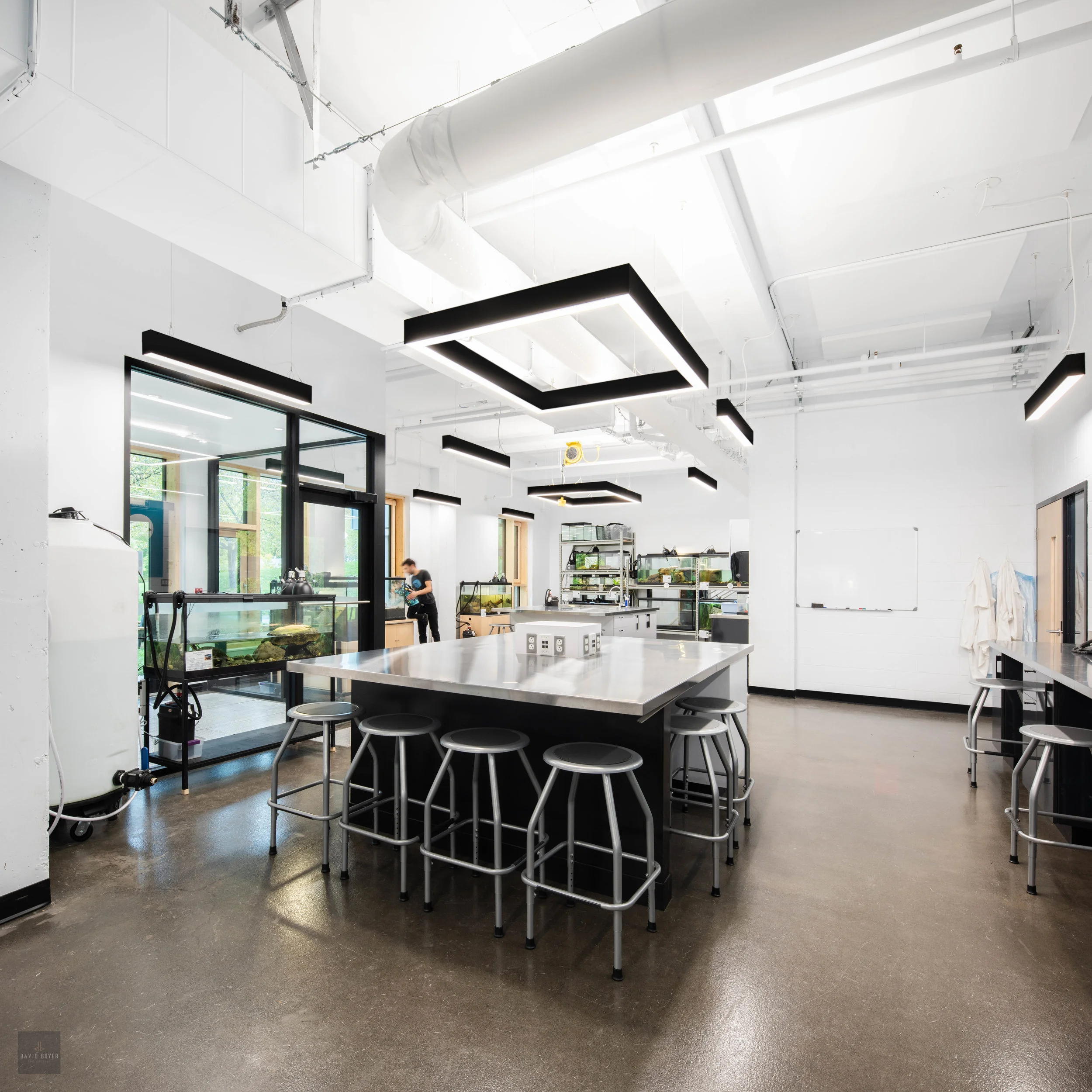 ©DavidBoyerphotographe0012_.jpg
