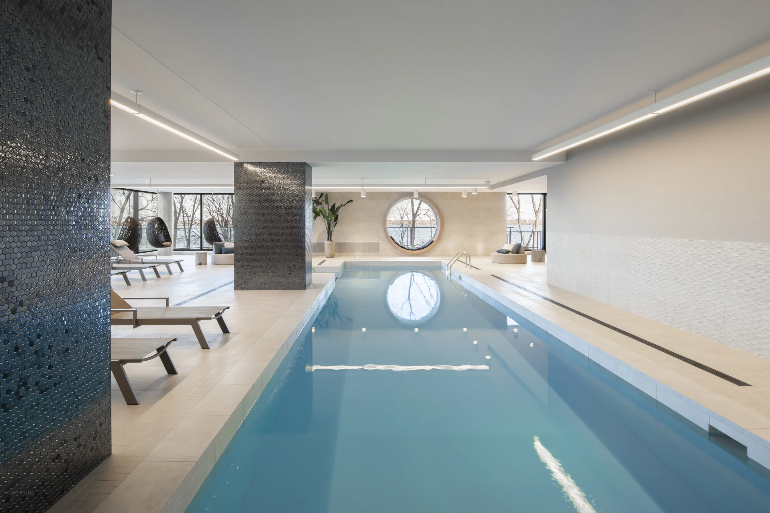 ©David-Boyer-Photographe  0007_.jpg