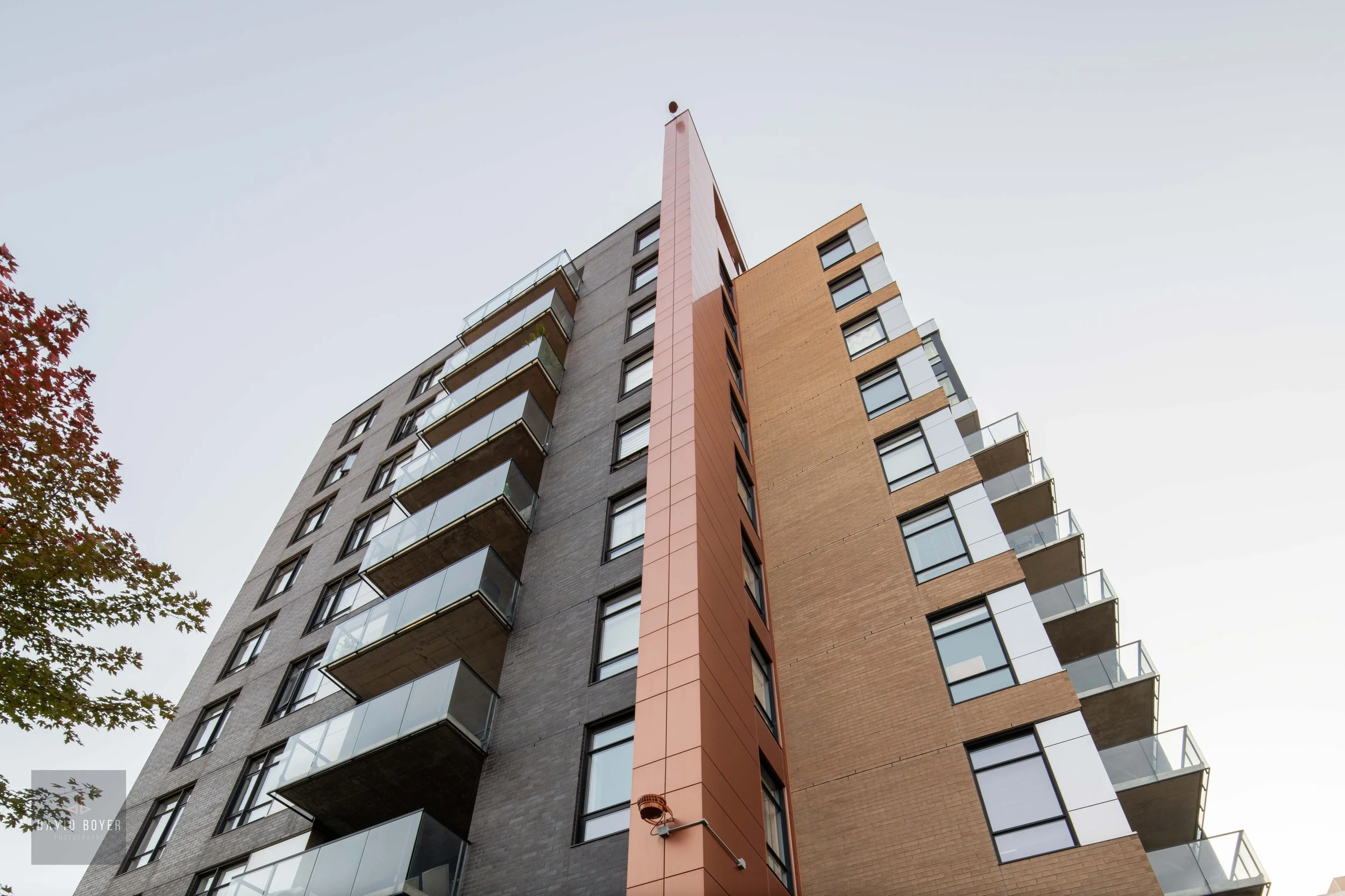  Viva Condos  Firme :  R+FA  