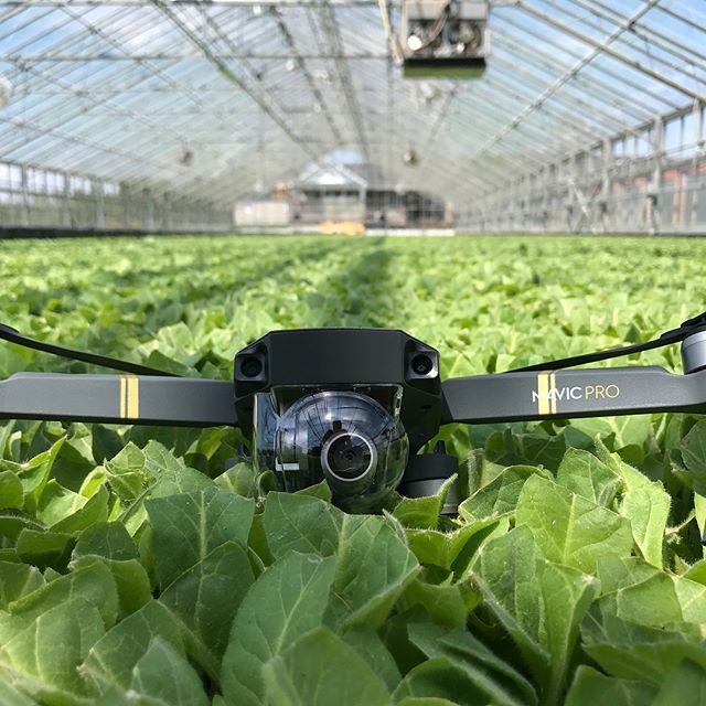 Taking a quick break in this lovely greenhouse that we had an opportunity to inspect 🌱🍃 What do you think of these shots? 📸