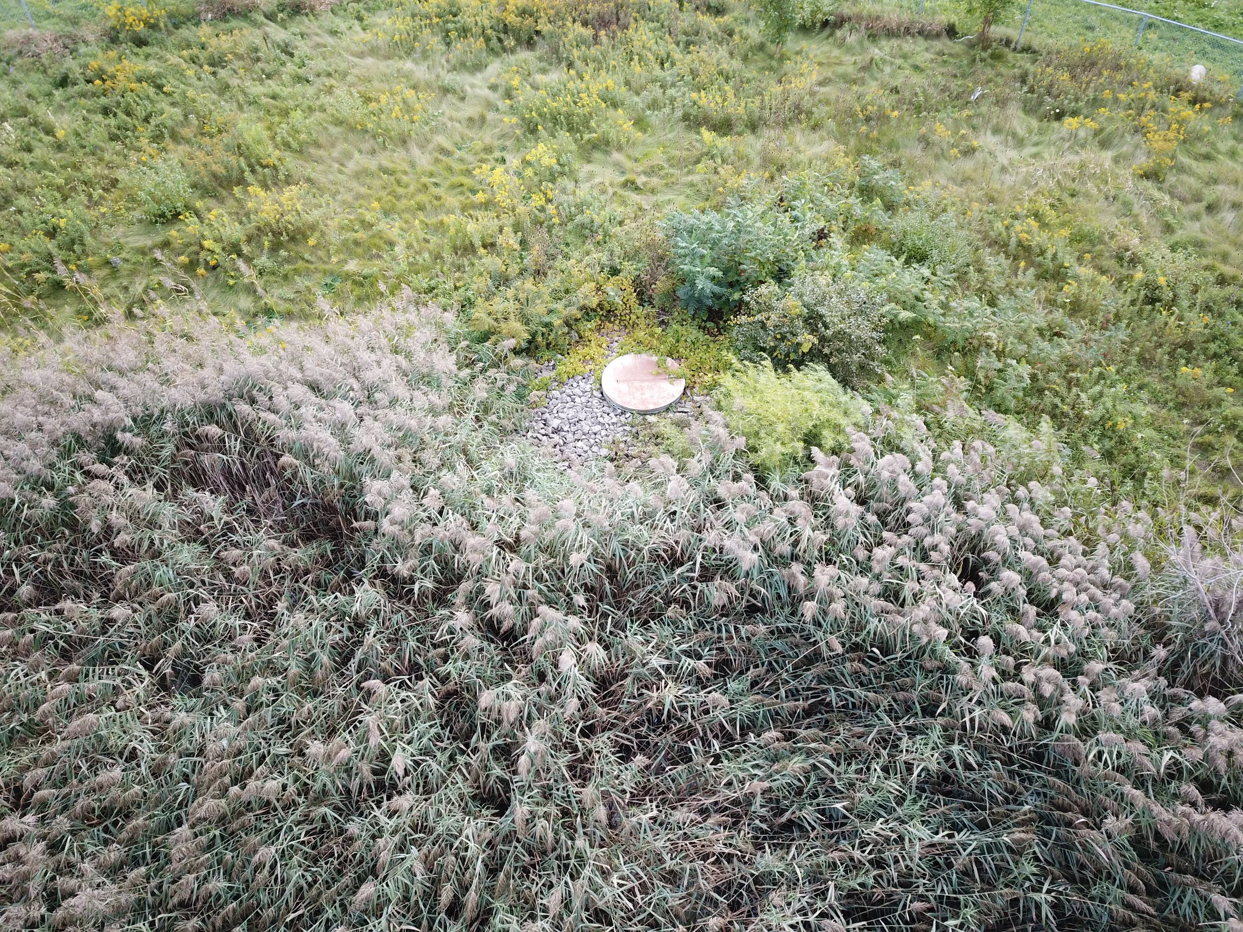 DJI_0261.JPG