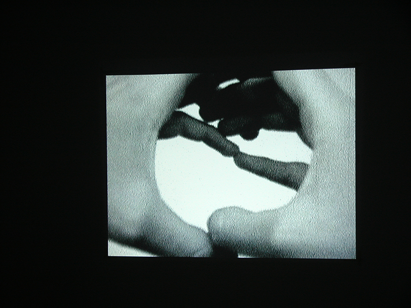  Valérie Mannaerts,  Untitled (B&amp;W) , 2001, Super 8 edited in DV and transferred on DVD, 9 min. 28 sec., in loop. Photo Saskia Gevaert. 