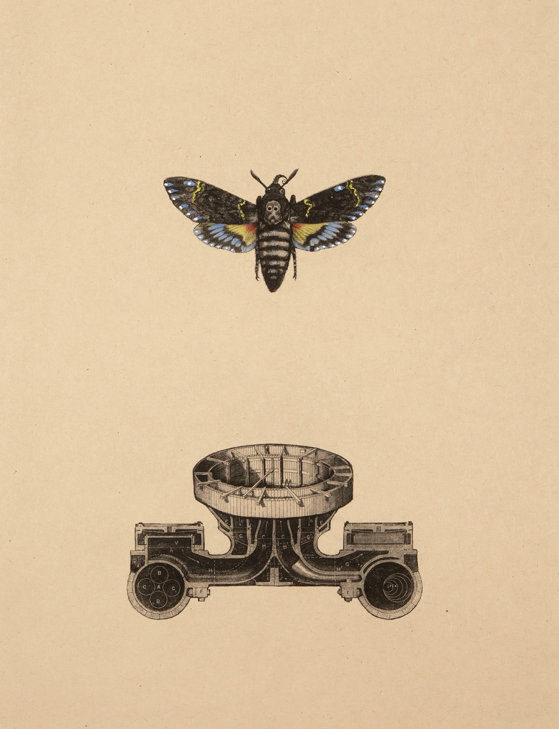 Launch II . 8/25. Hand-colored etching with chine collé on paper, 18.25 x 13.75 inches