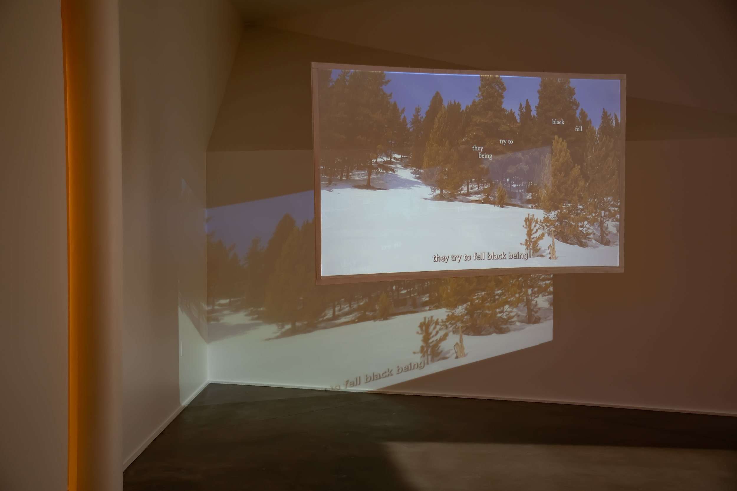  Installation view of&nbsp; Impediment is Information  (2021) for the exhibition,&nbsp; Fugitive Speech , at Oklahoma Contemporary Arts Center, November 3, 2022 – April 30, 2023. Photo by Ann Sherman. 