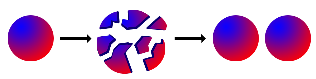 Boring but accurate Banach-Tarski paradox representation