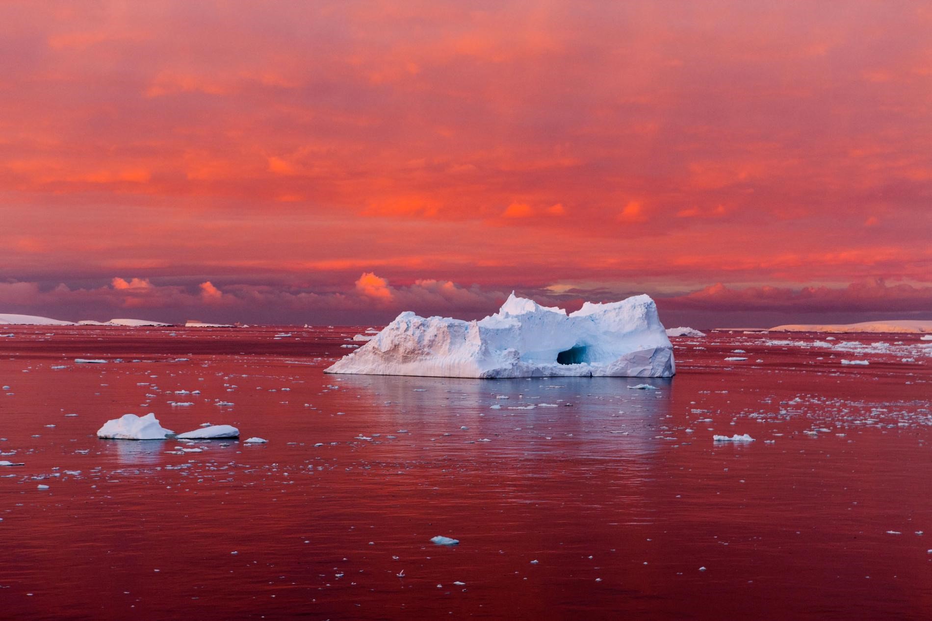 A melting iceberg – many are the result of global warming.
