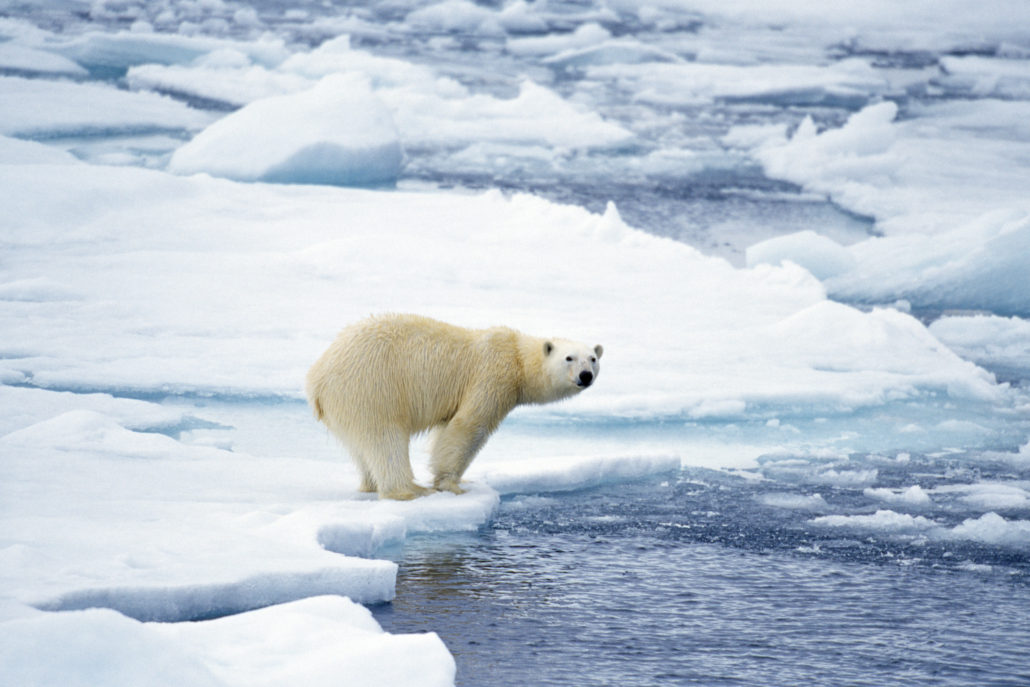 CLIMATE CHANGE AND ATMOSPHERIC CIRCULATION It’s undeniable at this point that humans are having a significant negative impact on the earth. Many argue that climate change is a natural phenomenon – the earth has warmed up in the past and is continuing to do so. However, the IPCC – the Intergovernmental Panel on Climate Change has plenty of evidence exemplifying the extent of anthropogenic climate change. The full extent of the future impacts is still up for debate… By Vithusan Kuganathan