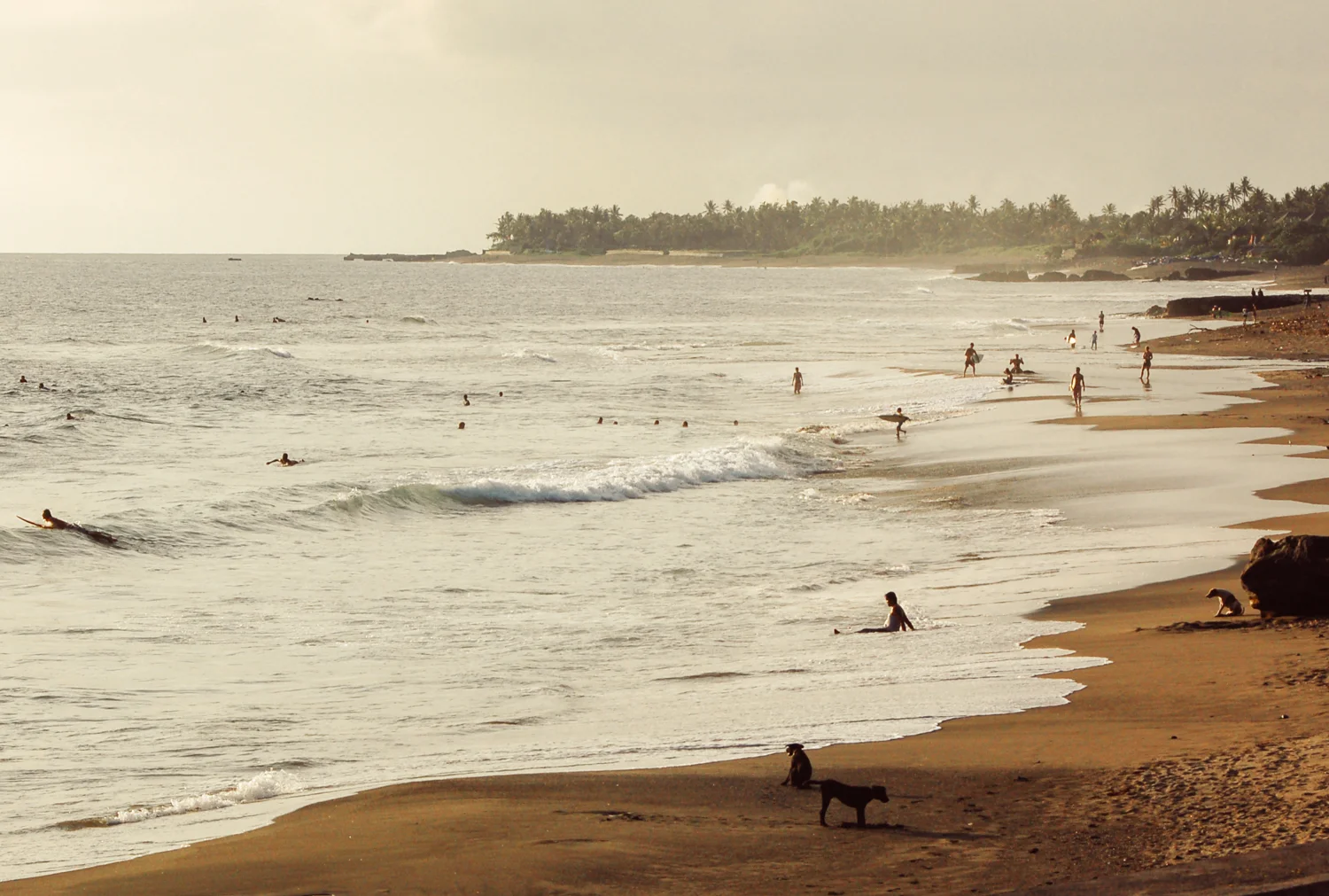 bali-ed-web-15.jpg