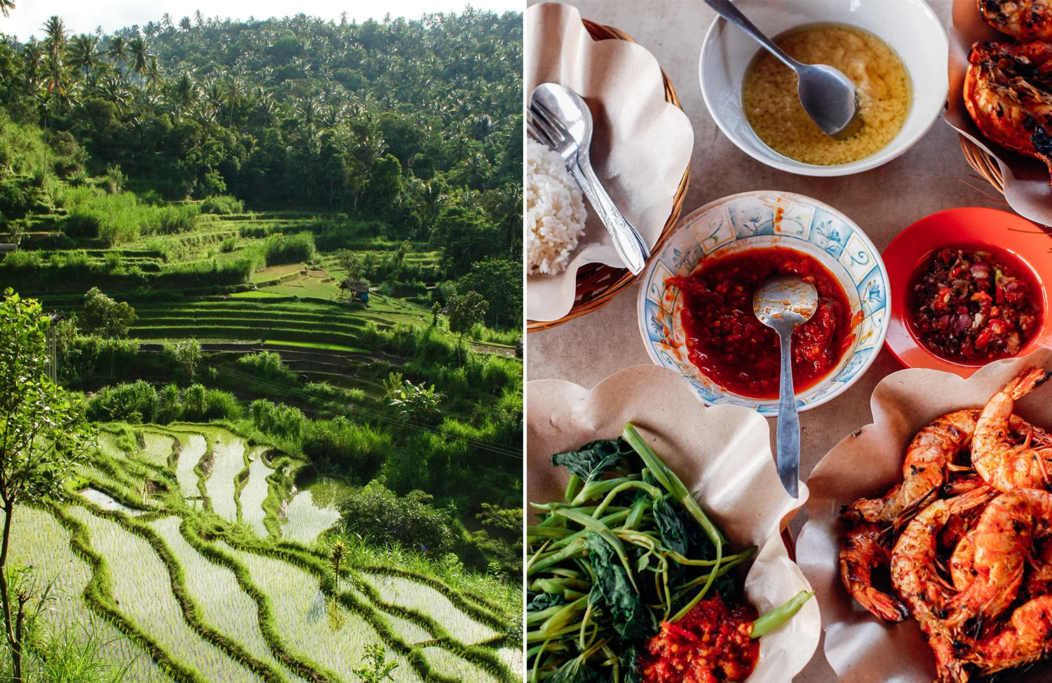 bali-ed-web-42.jpg