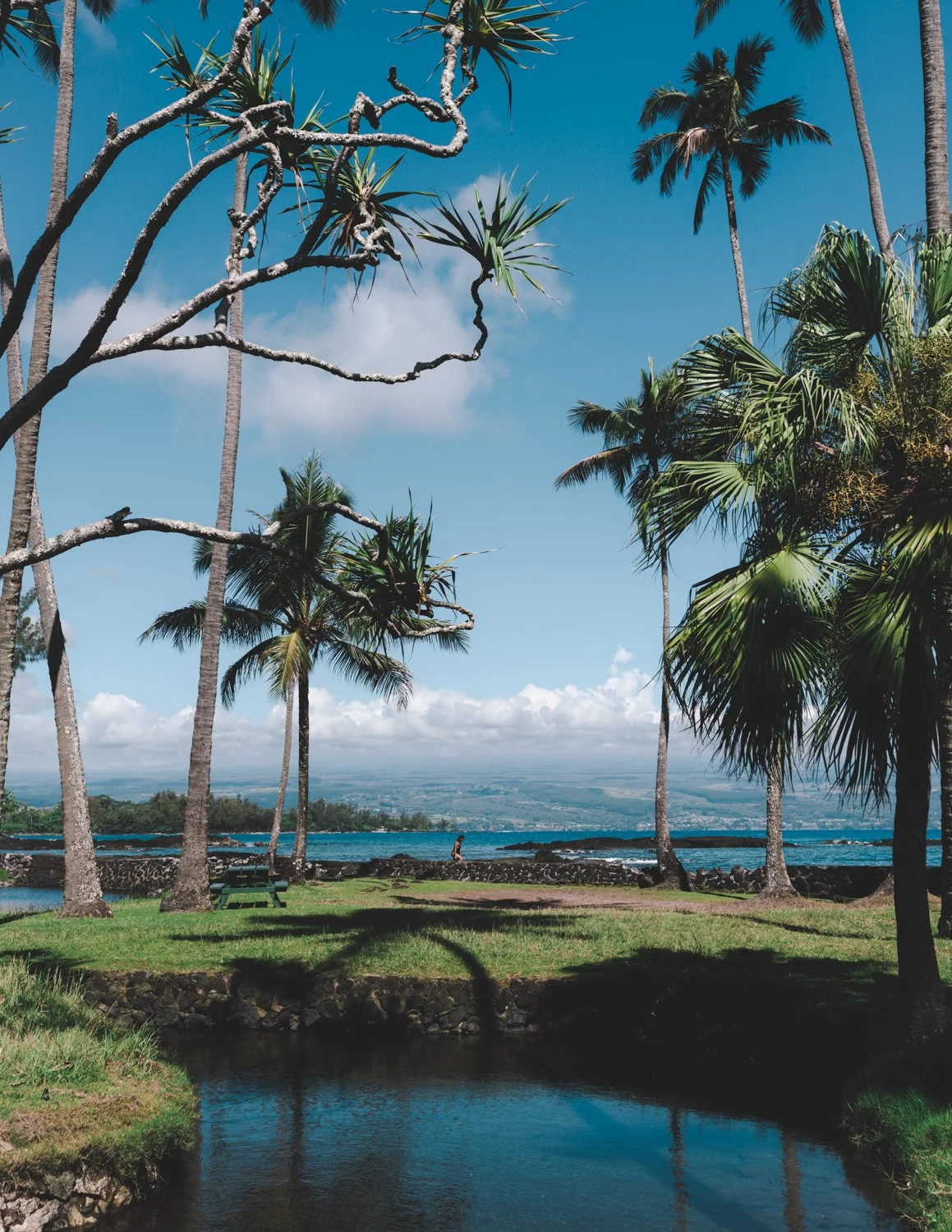 hawaii-bigisland-2023-109Hilo-ijfkeridgley-web.jpg