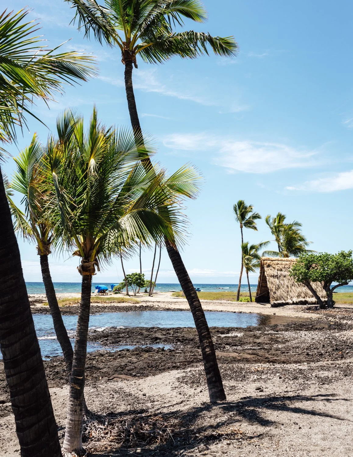 hawaii-bigisland-kohala-IR-web-34.jpg