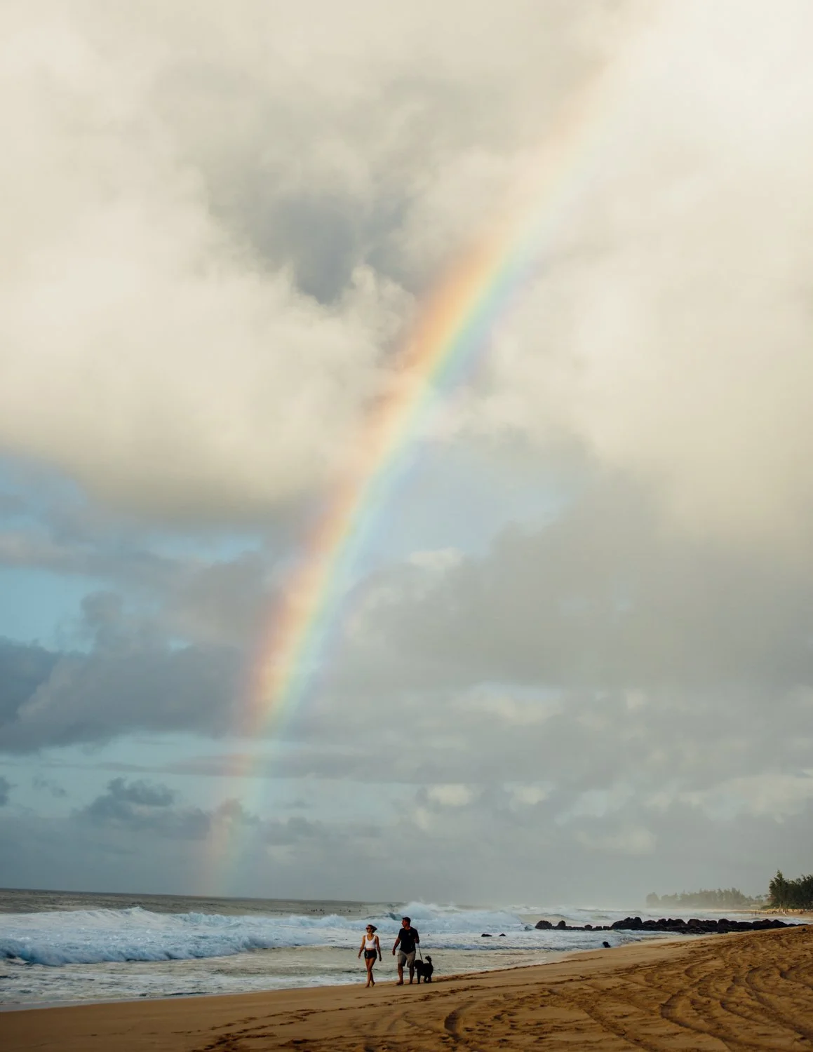 Oahu-2020-northshore-ijfkeridgley-web-7.jpg