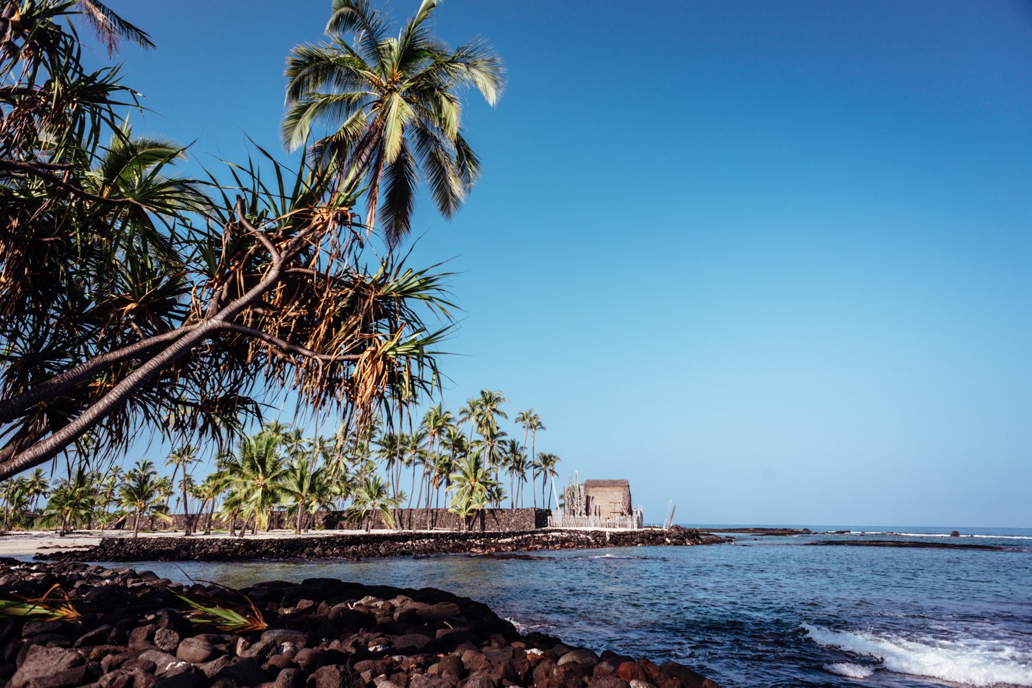 bigisland-web3.jpg