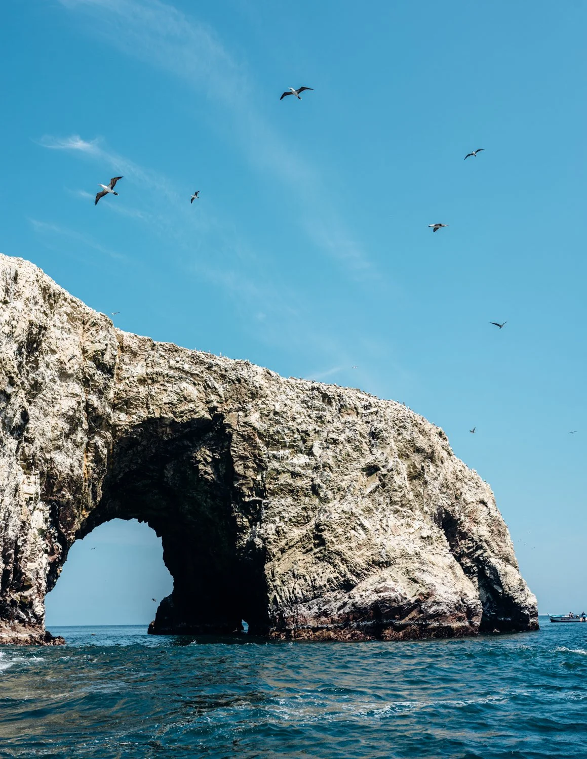 ijfkeridgley-peru-paracas-web-6.jpg