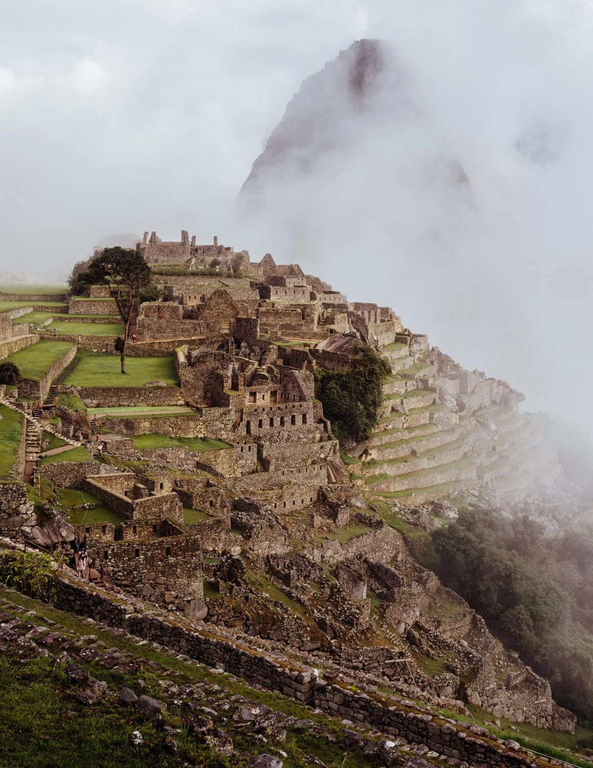 ijfkeridgley-peru-macchupicchu-web-31.jpg