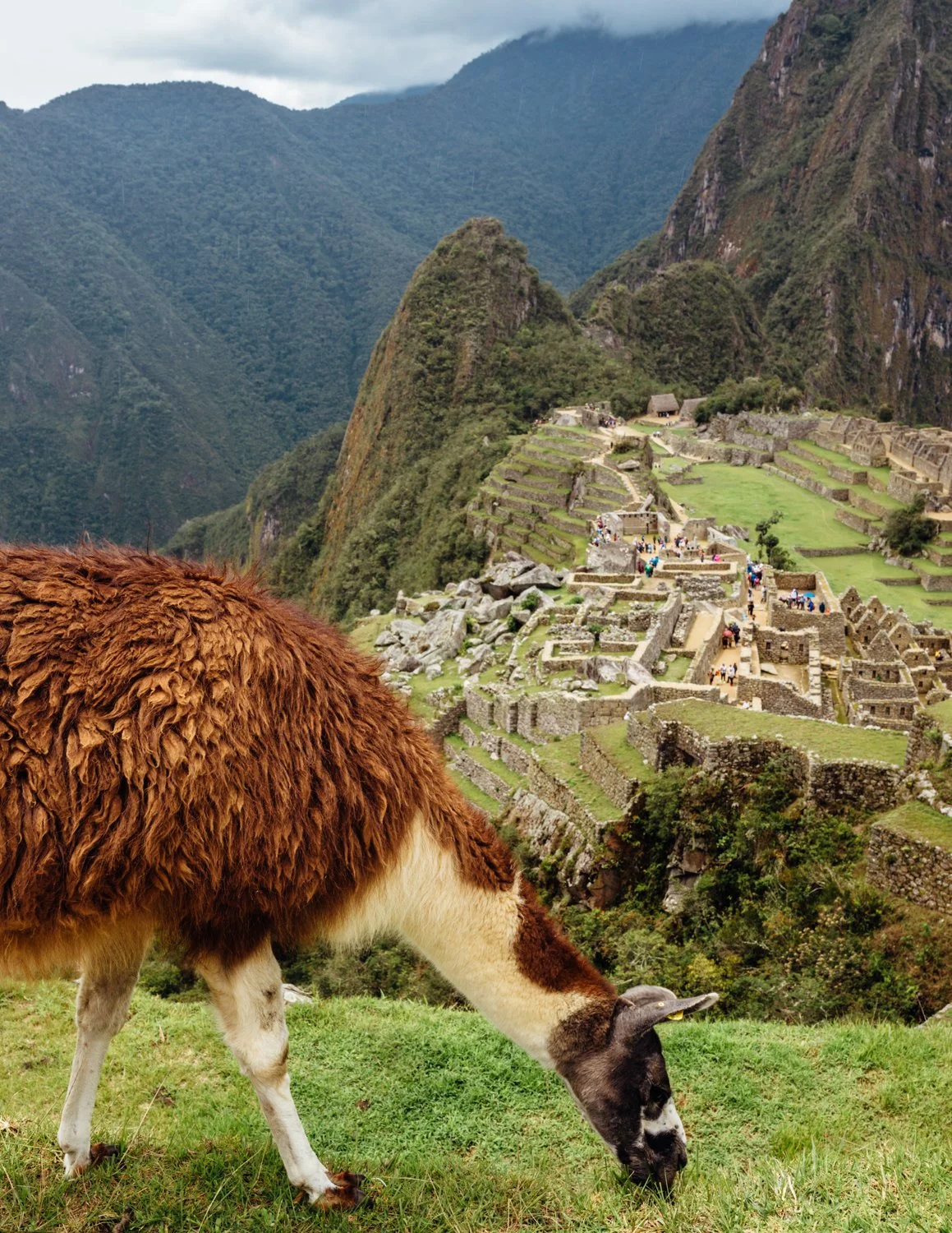 ijfkeridgley-peru-macchupicchu-web-46.jpg