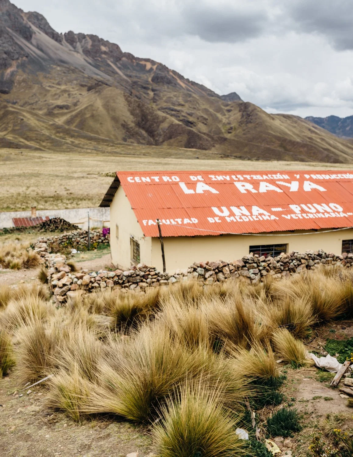 ijfkeridgley-peru-laketiticaca-web-23.jpg